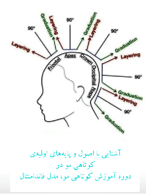 شناخت زاویه و آناتومی سر در کوتاهی مو مدل فاندامنتال